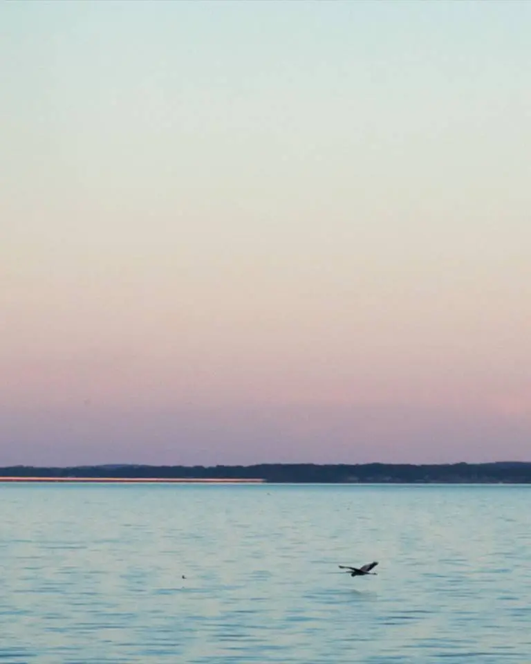 Lake View