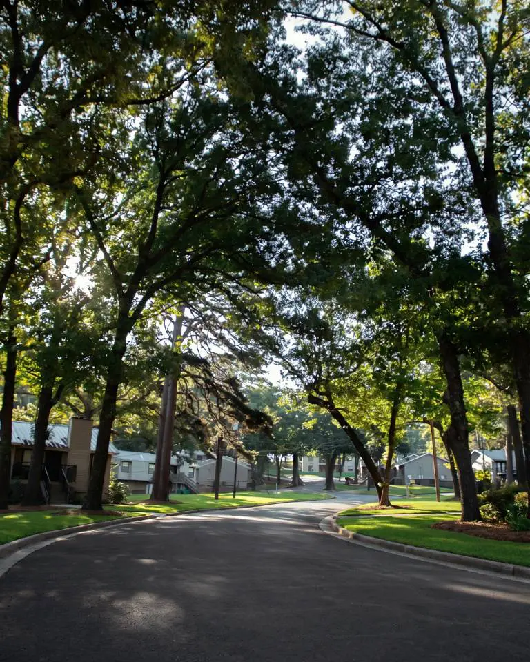 External Area